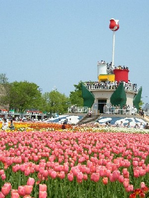tulip_tower