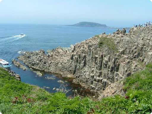20080508_daifuku.jpg
