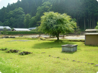 20080616_asakura.jpg