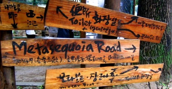 ナミソムの別れ道にあった看板