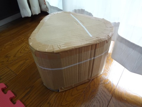踏み台とりあえずカタチになった。